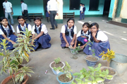 Jitpur Academy-Tree Plantation